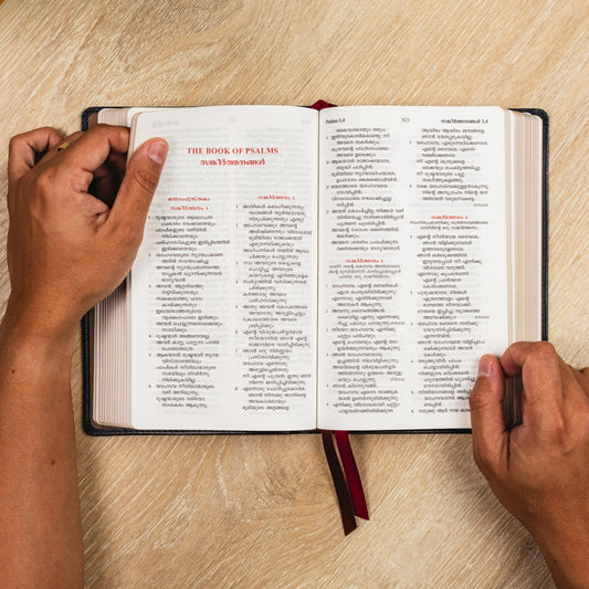 Large Font Malayalam Bible - Brown
