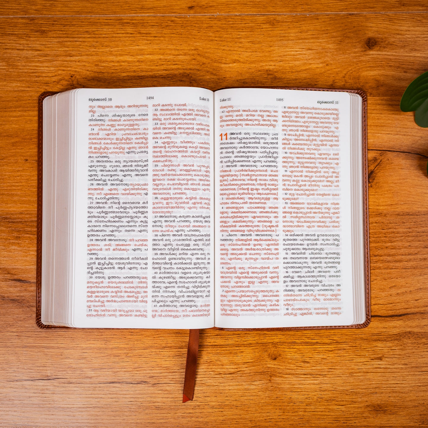 Large Font Malayalam Bible - Black