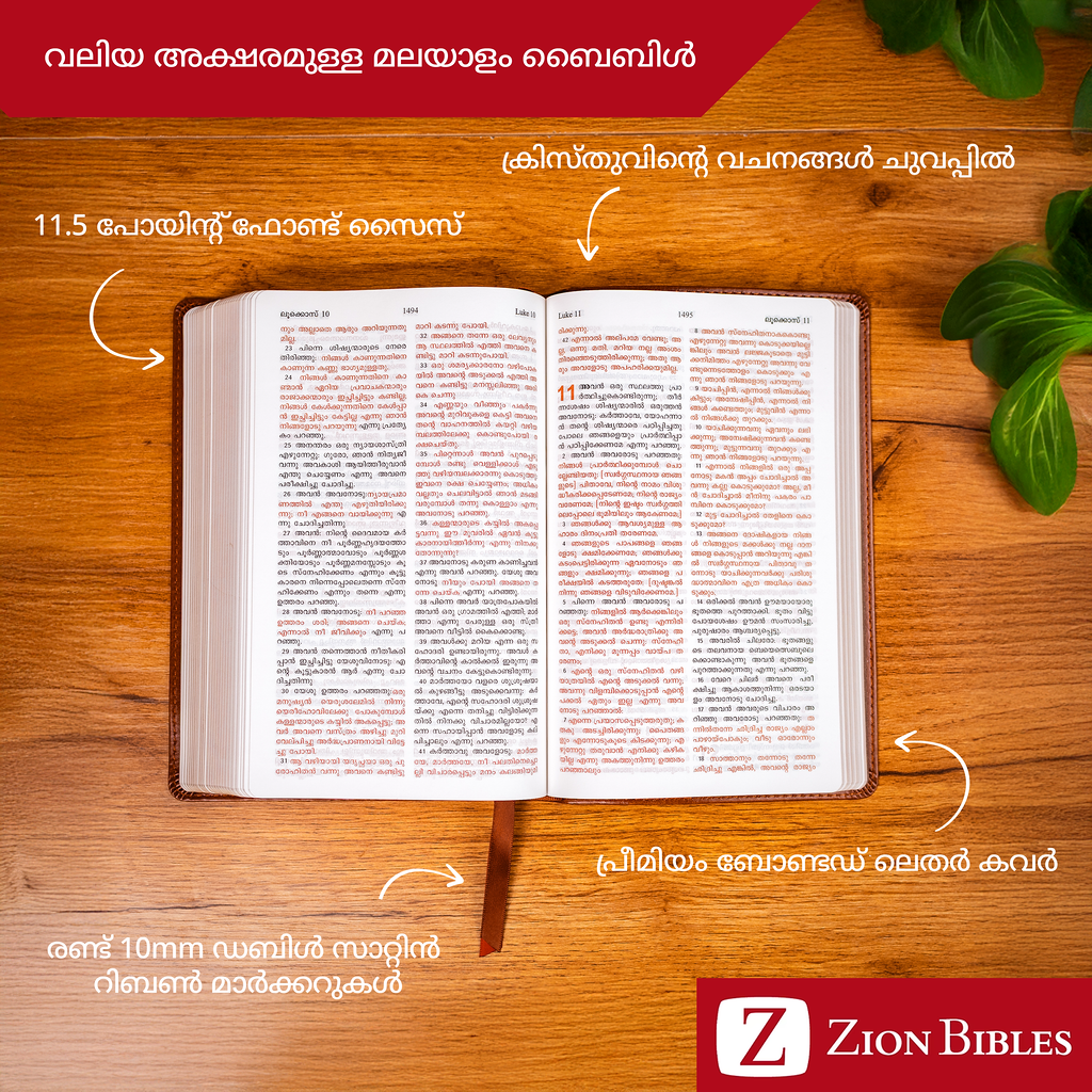 Large Font Malayalam Bible - Black