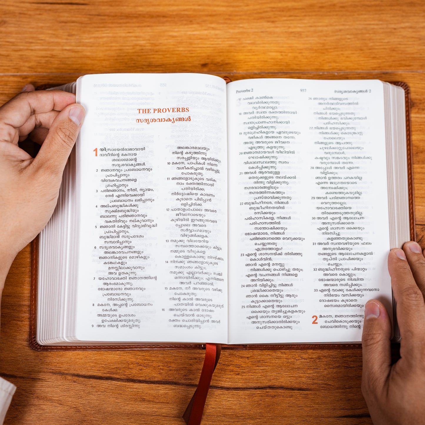 Large Font Malayalam Bible - Black