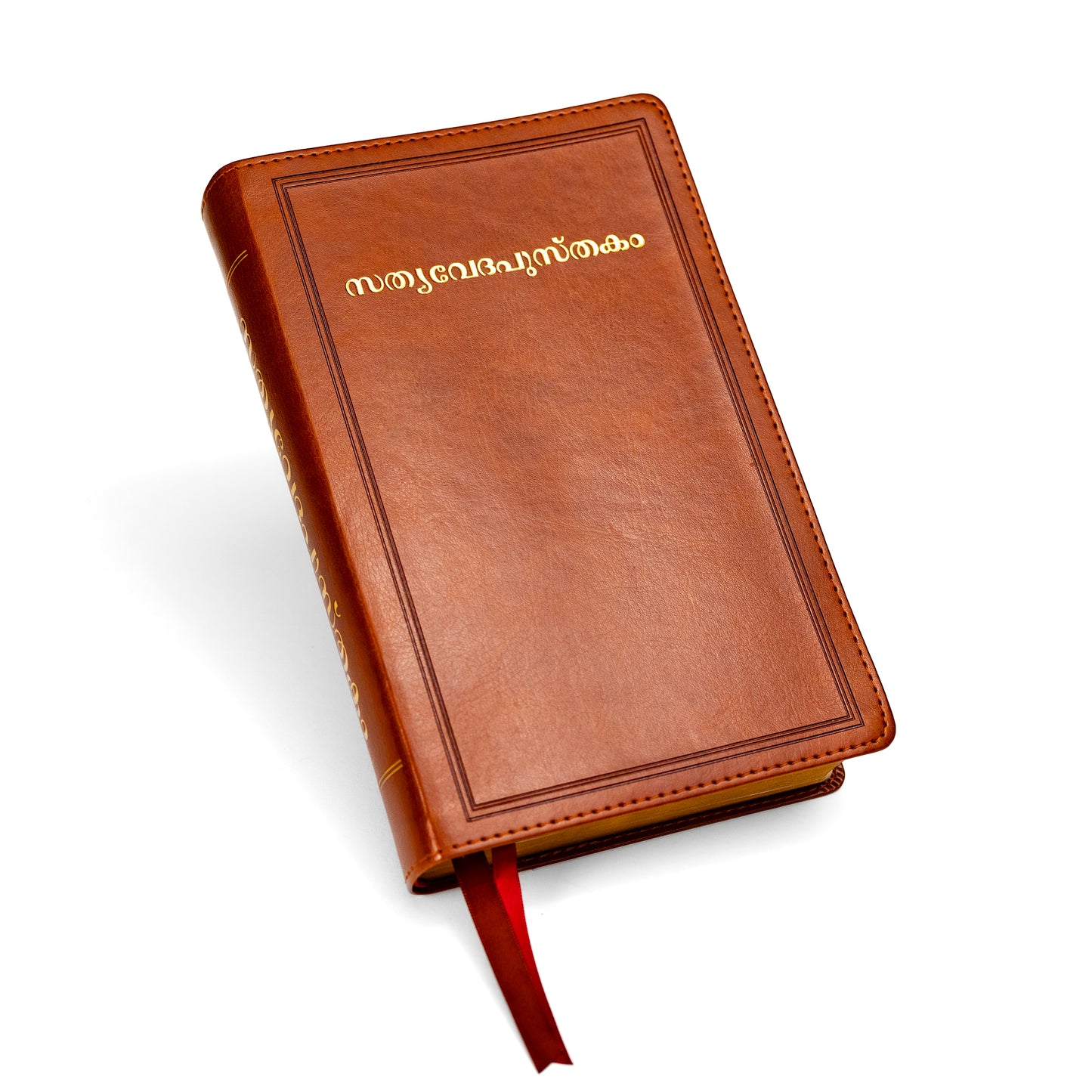 Large Font Malayalam Bible - Brown